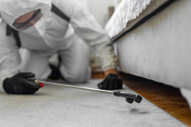 Professional Bed Bug Control technician working in Island Park, NY