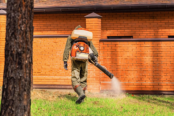 Trusted Cockroach Control service in Island Park, NY - Nex Pest Control